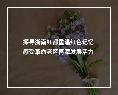 探寻浙南红都重温红色记忆 感受革命老区再添发展活力