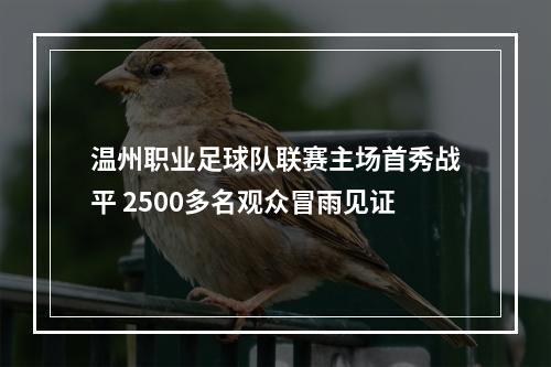 温州职业足球队联赛主场首秀战平 2500多名观众冒雨见证