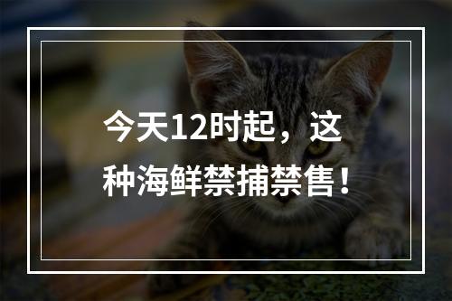 今天12时起，这种海鲜禁捕禁售！