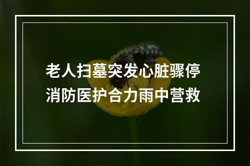 老人扫墓突发心脏骤停 消防医护合力雨中营救