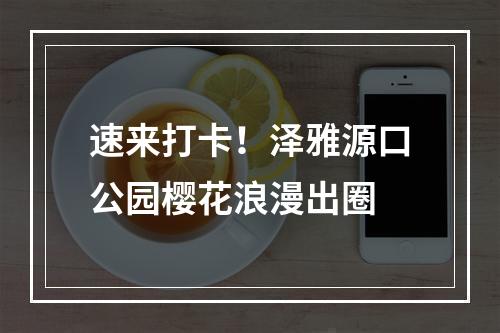 速来打卡！泽雅源口公园樱花浪漫出圈
