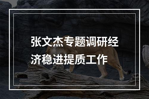 张文杰专题调研经济稳进提质工作