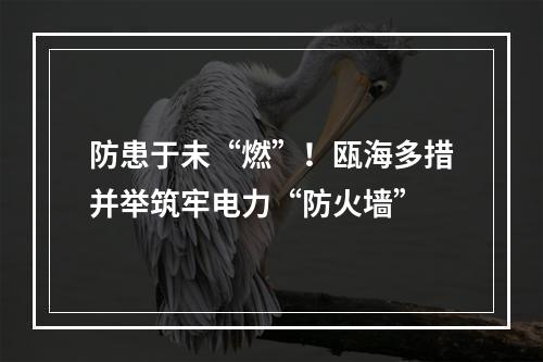 防患于未“燃”！瓯海多措并举筑牢电力“防火墙”