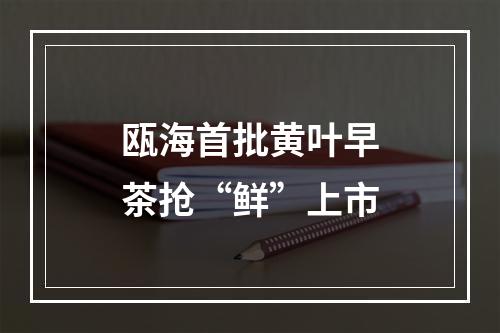 瓯海首批黄叶早茶抢“鲜”上市