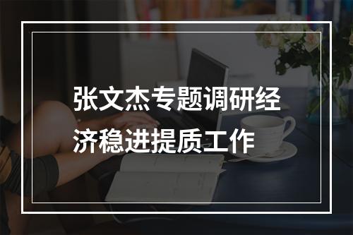 张文杰专题调研经济稳进提质工作