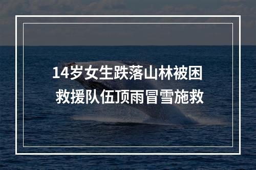 14岁女生跌落山林被困 救援队伍顶雨冒雪施救