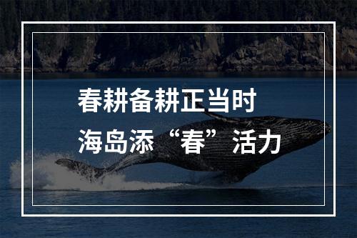 春耕备耕正当时  海岛添“春”活力