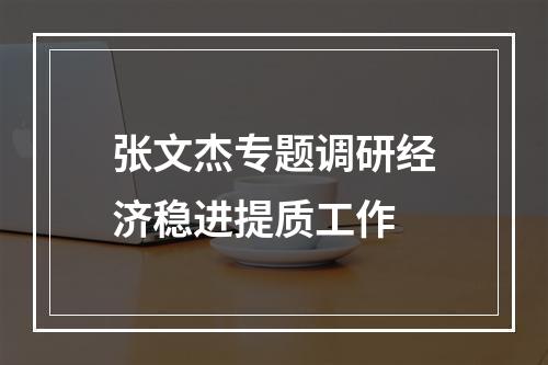 张文杰专题调研经济稳进提质工作