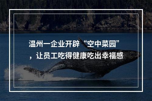 温州一企业开辟“空中菜园”，让员工吃得健康吃出幸福感