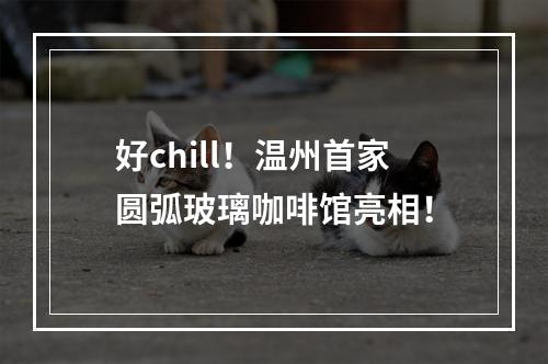 好chill！温州首家圆弧玻璃咖啡馆亮相！