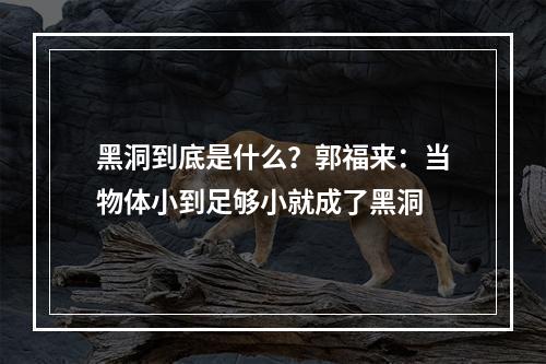 黑洞到底是什么？郭福来：当物体小到足够小就成了黑洞