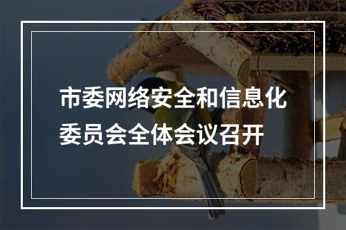 市委网络安全和信息化委员会全体会议召开