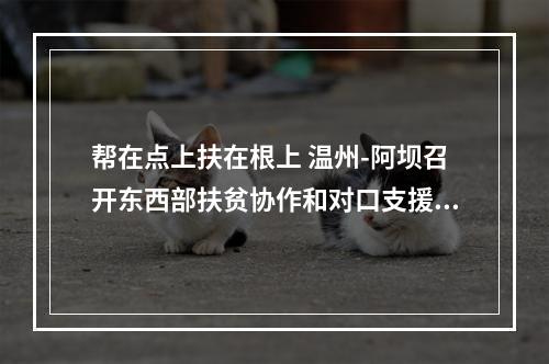 帮在点上扶在根上 温州-阿坝召开东西部扶贫协作和对口支援工作联席会议