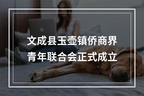 文成县玉壶镇侨商界青年联合会正式成立