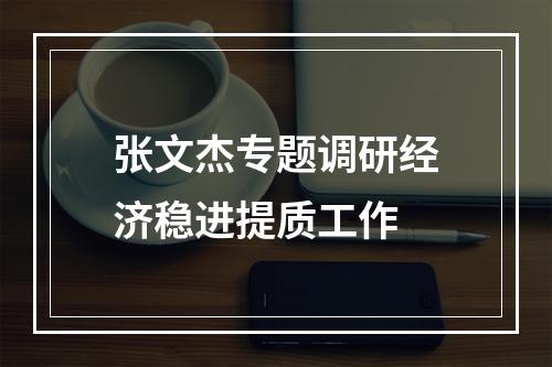 张文杰专题调研经济稳进提质工作