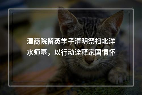 温商院留英学子清明祭扫北洋水师墓，以行动诠释家国情怀
