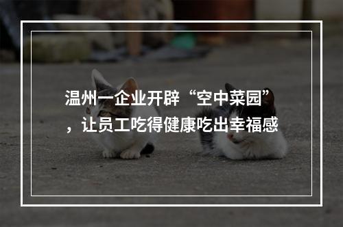 温州一企业开辟“空中菜园”，让员工吃得健康吃出幸福感