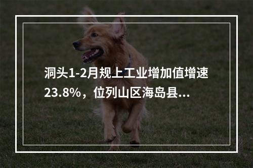 洞头1-2月规上工业增加值增速23.8%，位列山区海岛县之首