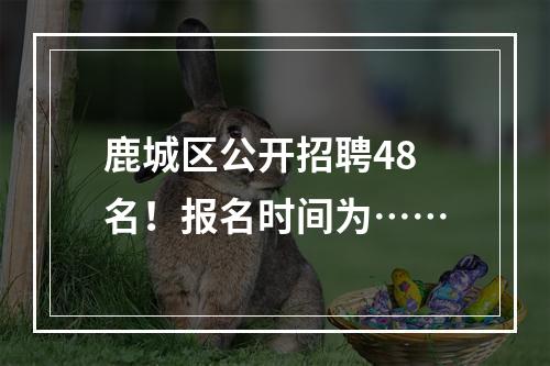 鹿城区公开招聘48名！报名时间为……