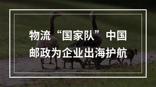 物流“国家队”中国邮政为企业出海护航
