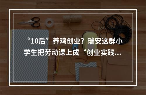 “10后”养鸡创业？瑞安这群小学生把劳动课上成“创业实践课”