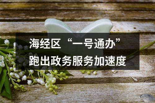 海经区“一号通办”跑出政务服务加速度