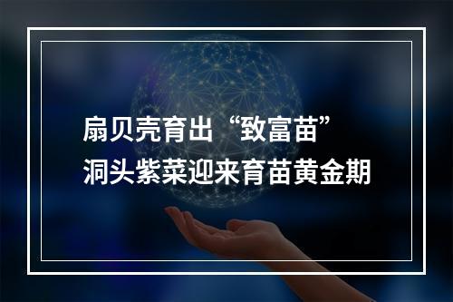 扇贝壳育出“致富苗” 洞头紫菜迎来育苗黄金期