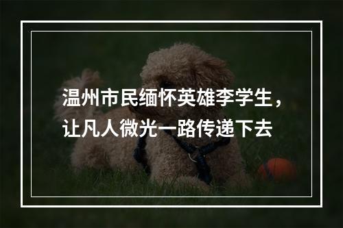 温州市民缅怀英雄李学生，让凡人微光一路传递下去