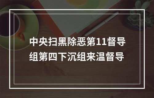 中央扫黑除恶第11督导组第四下沉组来温督导