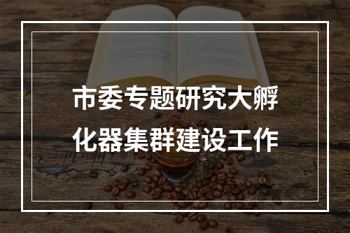 市委专题研究大孵化器集群建设工作