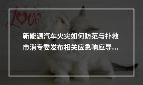 新能源汽车火灾如何防范与扑救 市消专委发布相关应急响应导引