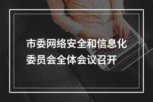 市委网络安全和信息化委员会全体会议召开