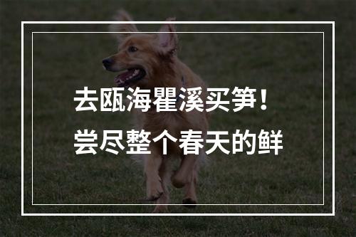 去瓯海瞿溪买笋！尝尽整个春天的鲜