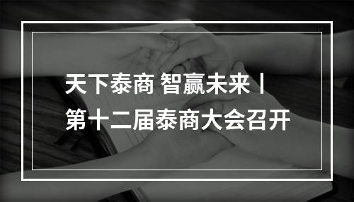 天下泰商 智赢未来丨第十二届泰商大会召开