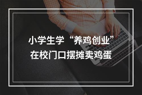 小学生学“养鸡创业” 在校门口摆摊卖鸡蛋