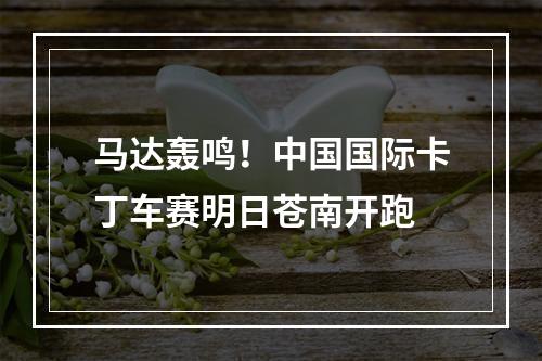 马达轰鸣！中国国际卡丁车赛明日苍南开跑