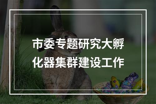 市委专题研究大孵化器集群建设工作
