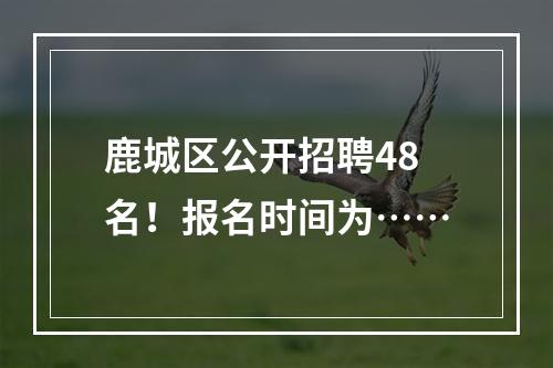 鹿城区公开招聘48名！报名时间为……