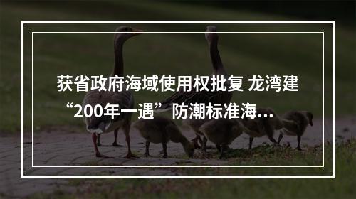 获省政府海域使用权批复 龙湾建“200年一遇”防潮标准海塘安澜工程
