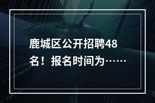 鹿城区公开招聘48名！报名时间为……