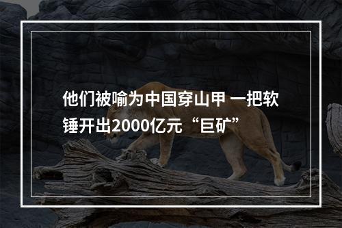 他们被喻为中国穿山甲 一把软锤开出2000亿元“巨矿”