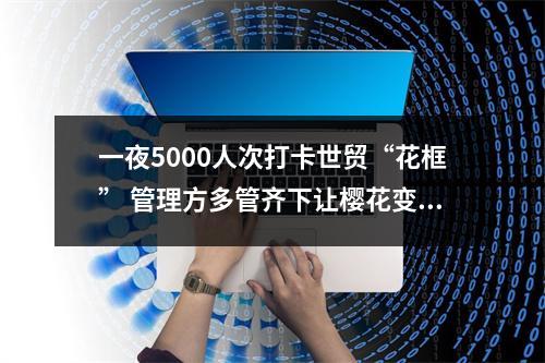 一夜5000人次打卡世贸“花框” 管理方多管齐下让樱花变美