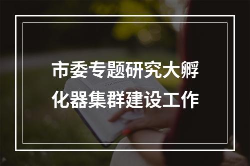 市委专题研究大孵化器集群建设工作