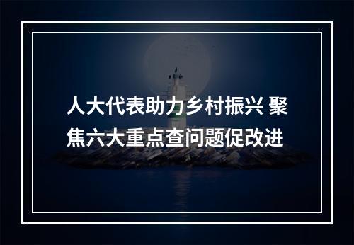 人大代表助力乡村振兴 聚焦六大重点查问题促改进