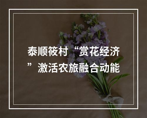 泰顺筱村“赏花经济”激活农旅融合动能