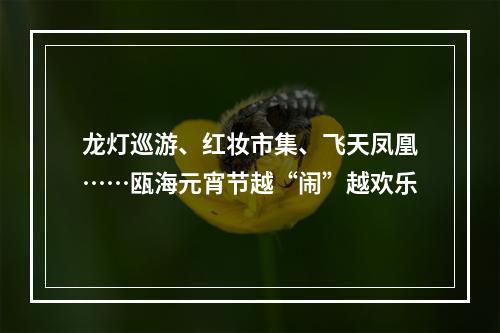 龙灯巡游、红妆市集、飞天凤凰……瓯海元宵节越“闹”越欢乐