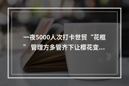 一夜5000人次打卡世贸“花框” 管理方多管齐下让樱花变美