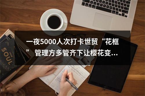 一夜5000人次打卡世贸“花框” 管理方多管齐下让樱花变美