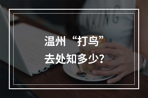 温州“打鸟”去处知多少？