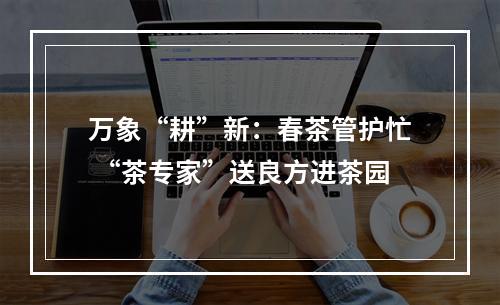 万象“耕”新：春茶管护忙 “茶专家”送良方进茶园